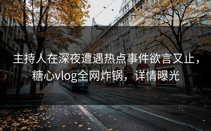 主持人在深夜遭遇热点事件欲言又止,糖心vlog全网炸锅,详情曝光 主持人在深夜遭遇热点事件欲言又止,糖心vlog全网炸锅,详情曝光