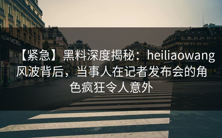 【紧急】黑料深度揭秘：heiliaowang风波背后，当事人在记者发布会的角色疯狂令人意外