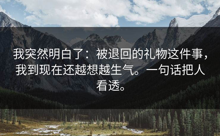 我突然明白了：被退回的礼物这件事，我到现在还越想越生气。一句话把人看透。